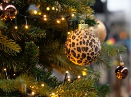 Kerstballen en decoratie