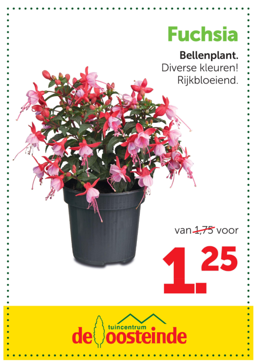 Aanbieding | De Oosteinde