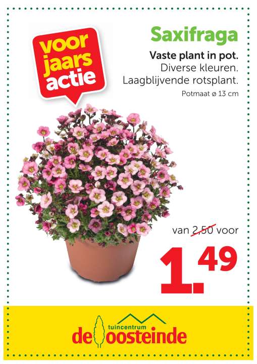 Lentekleur | De Oosteinde