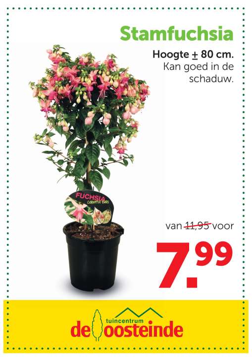 Tuinplanten | de Oosteinde