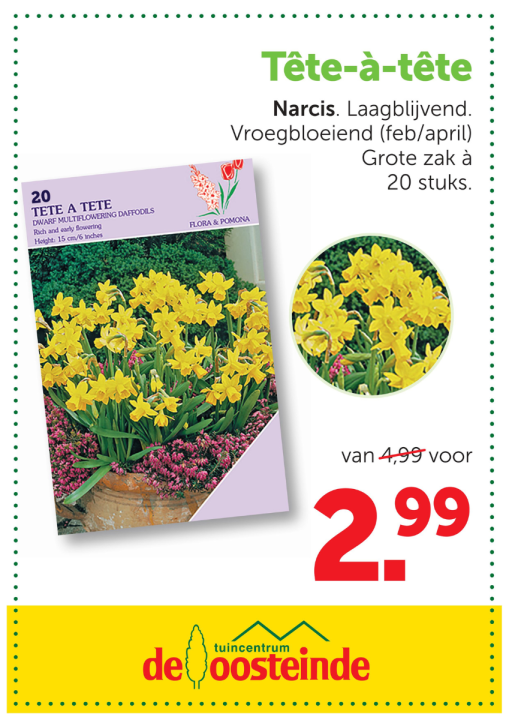 Bloembollen | de Oosteinde