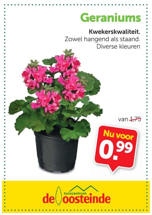 Tuinplanten | de Oosteinde