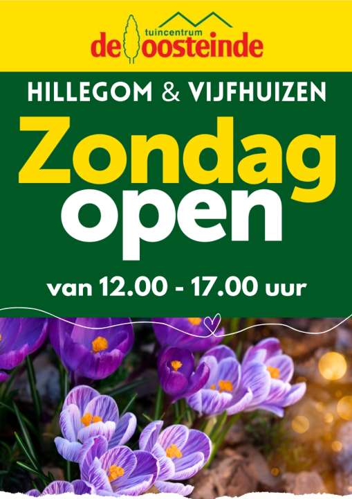 Koopzondagen | De Oosteinde Koopzondagen | De Oosteinde