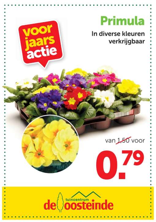 Lentekleur | De Oosteinde Lentekleur | De Oosteinde