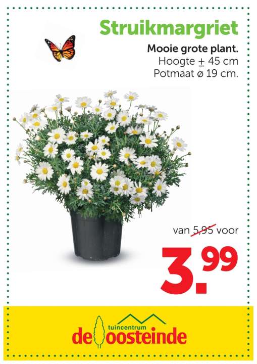 Aanbieding | De Oosteinde