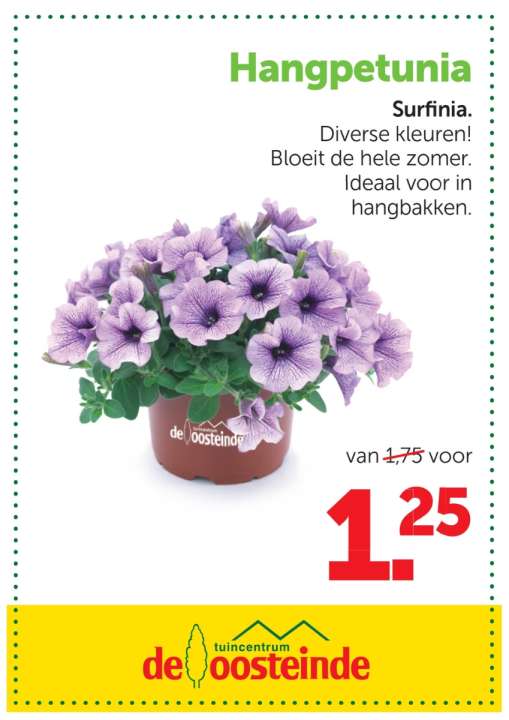 Aanbieding | De Oosteinde