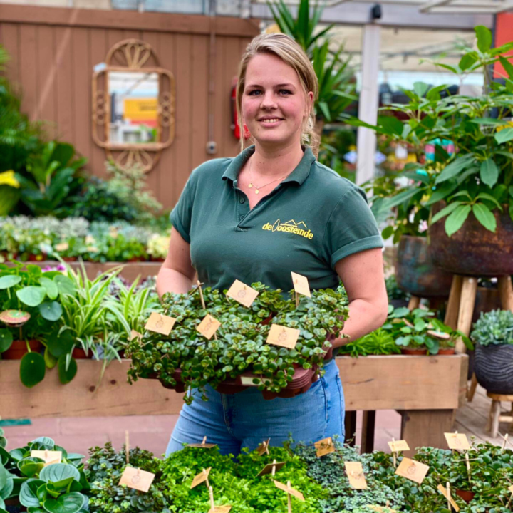 IJsselmuiden | de Oosteinde IJsselmuiden | de Oosteinde