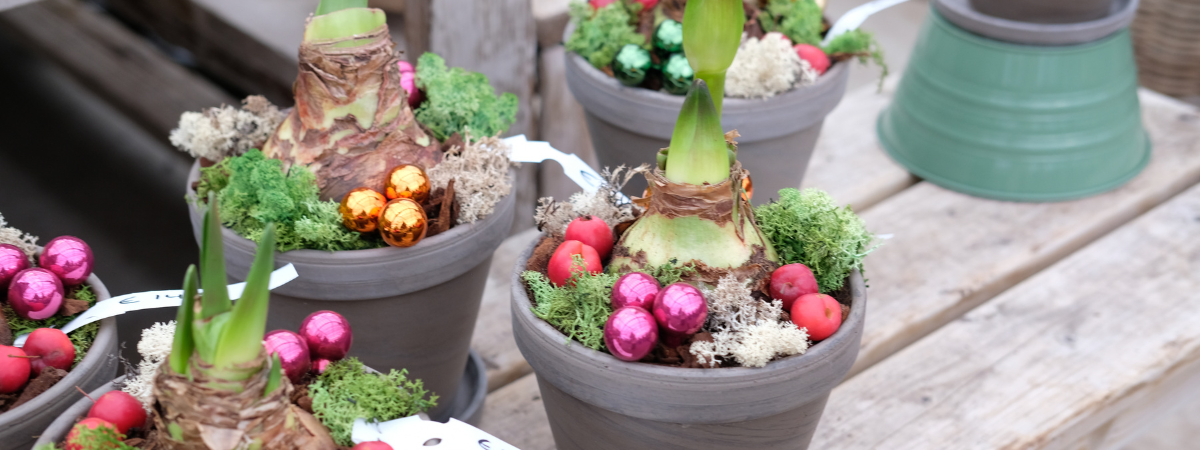Kerststuk kopen bij De Oosteinde Kerststuk kopen bij De Oosteinde