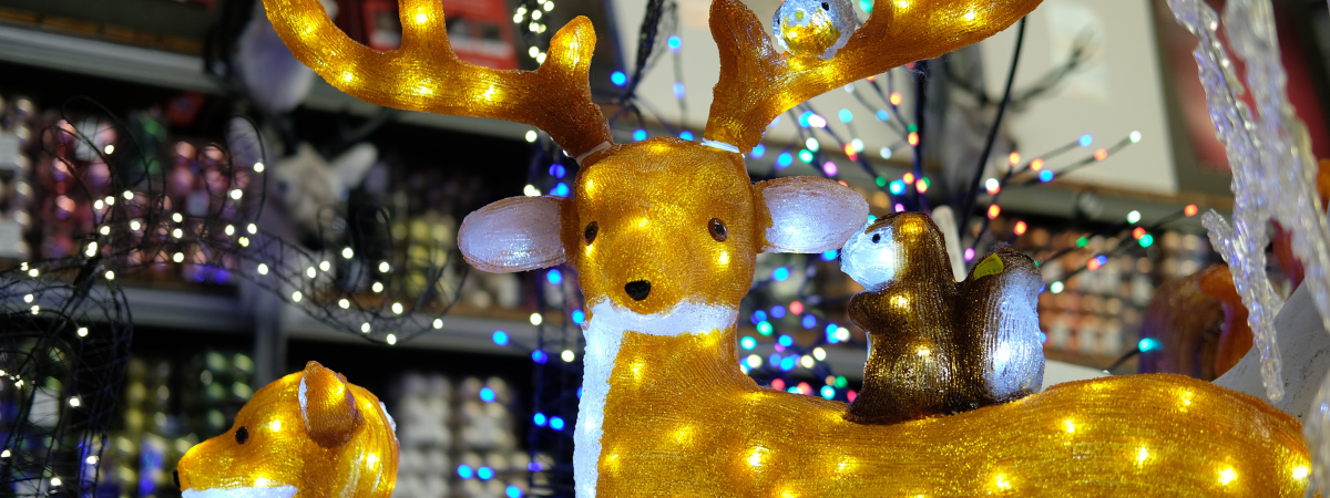 KERSTVERLICHTING: SFEER IN EN OM HET HUIS | De Oosteinde