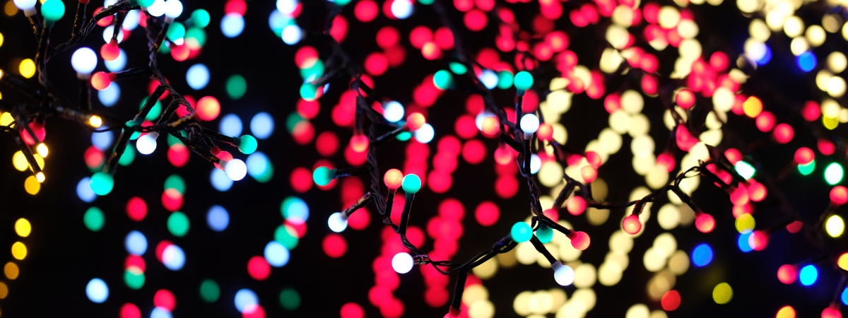 KERSTVERLICHTING kopen | Tuincentrum de Oosteinde