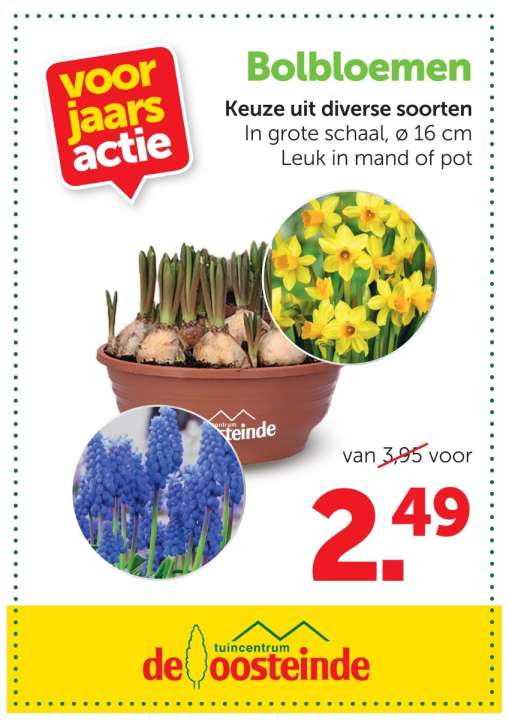 Tuinplanten | De Oosteinde