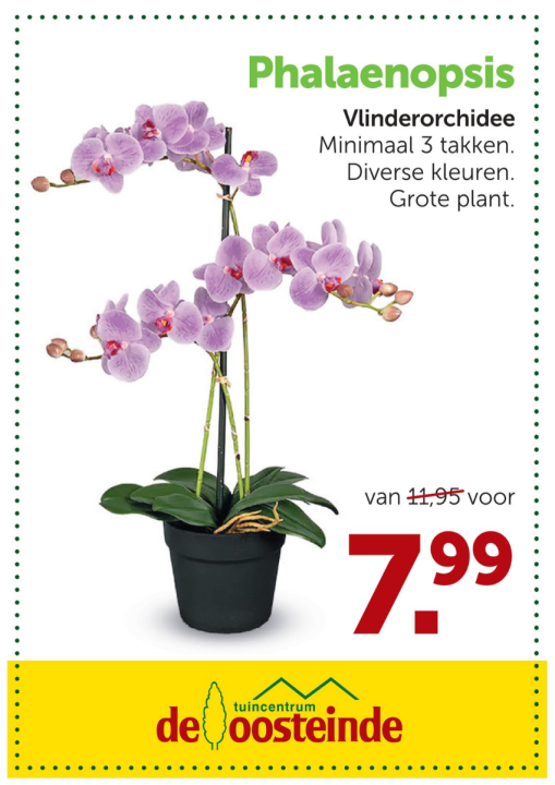 Aanbieding | De Oosteinde