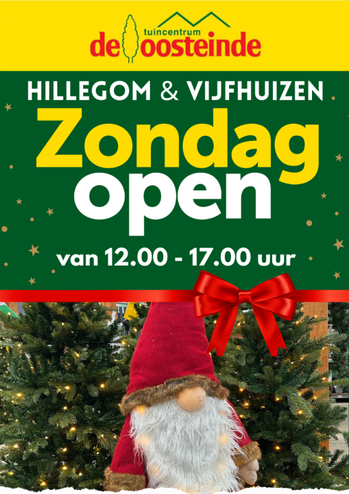 Kerst | de Oosteinde