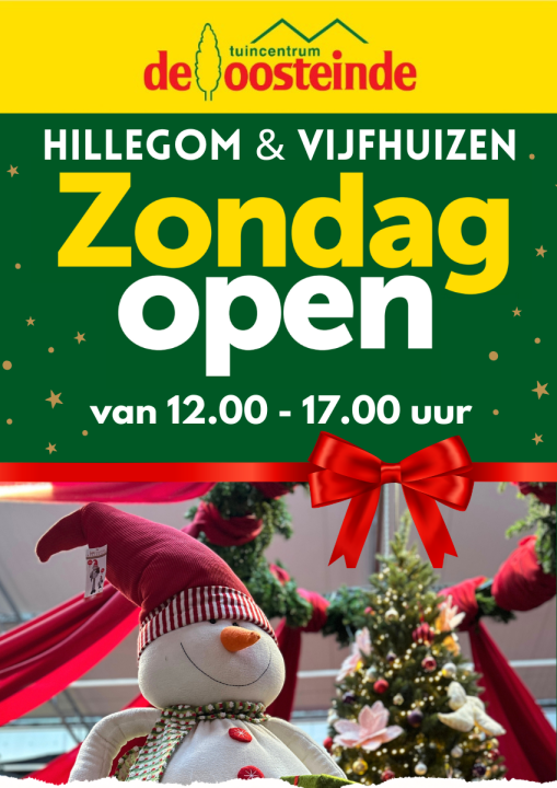 Kerst | de Oosteinde Kerst | de Oosteinde