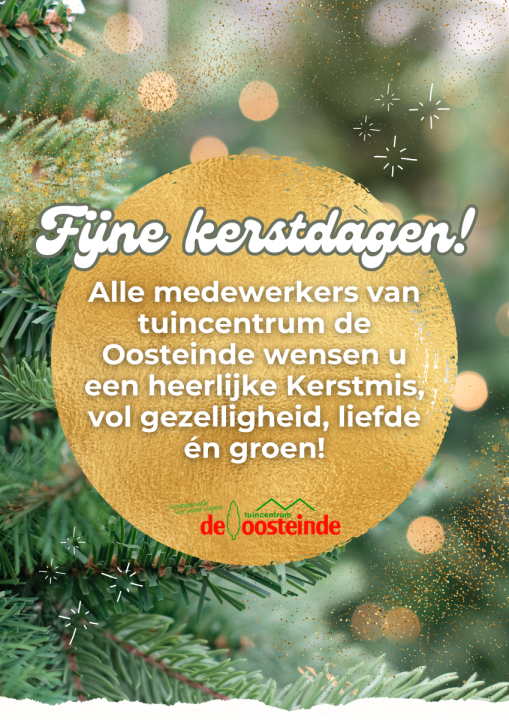 Kerst | de Oosteinde