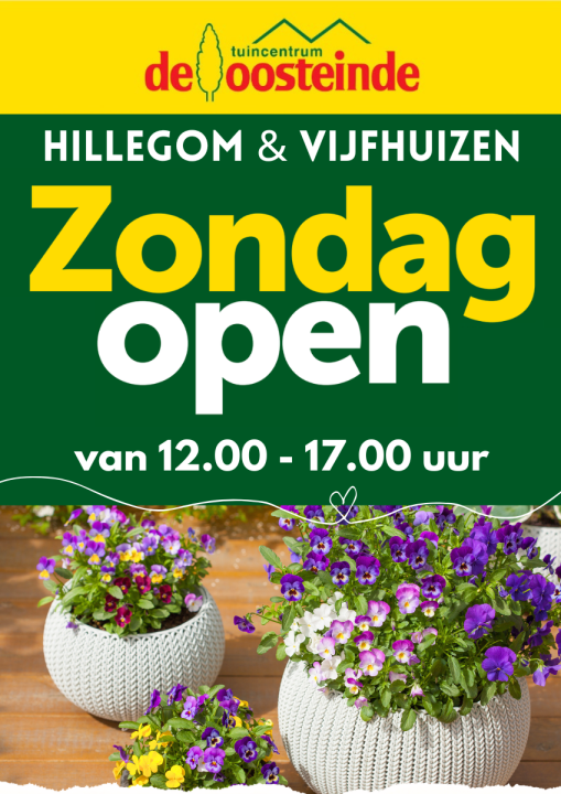 Koopzondagen | De Oosteinde Koopzondagen | De Oosteinde