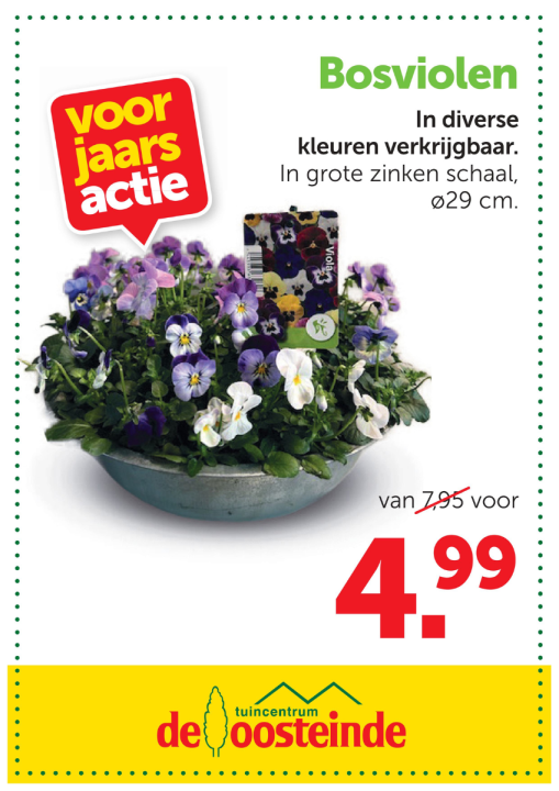 Lentekleur | De Oosteinde Lentekleur | De Oosteinde