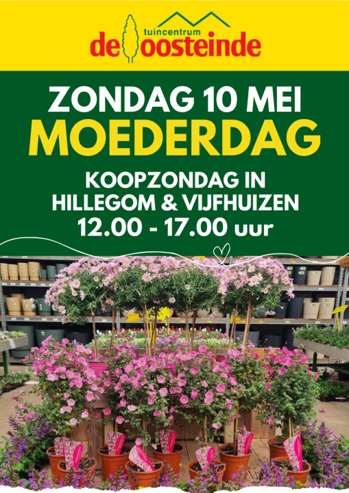 Koopzondagen | De Oosteinde