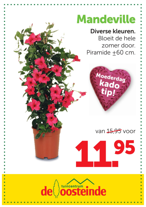 Aanbieding | De Oosteinde