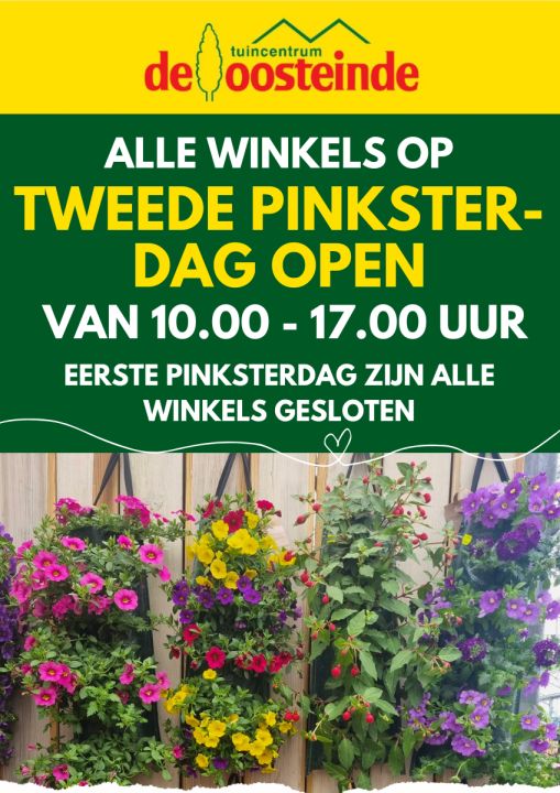 Koopzondagen | De Oosteinde