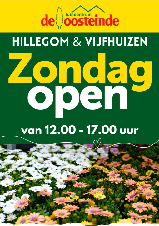 Koopzondagen | De Oosteinde Koopzondagen | De Oosteinde