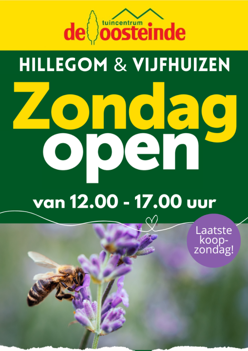 Koopzondagen | De Oosteinde