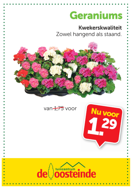 Tuinplanten | de Oosteinde
