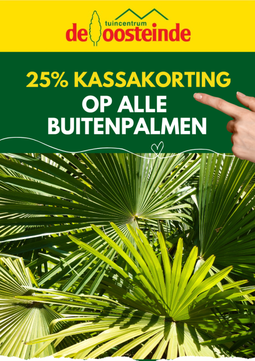 Aanbieding | De Oosteinde
