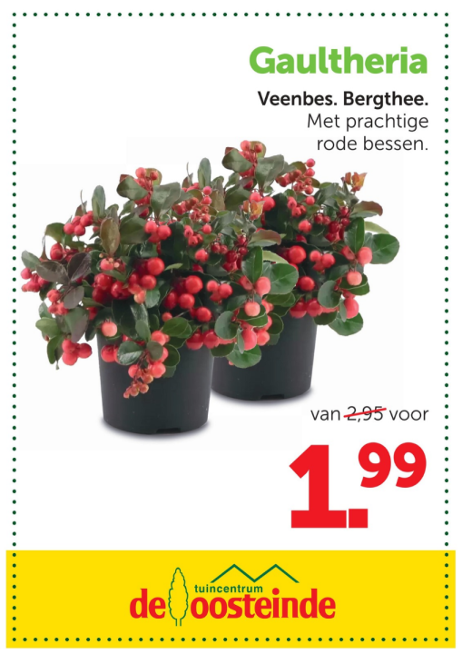 Tuinplanten | De Oosteinde