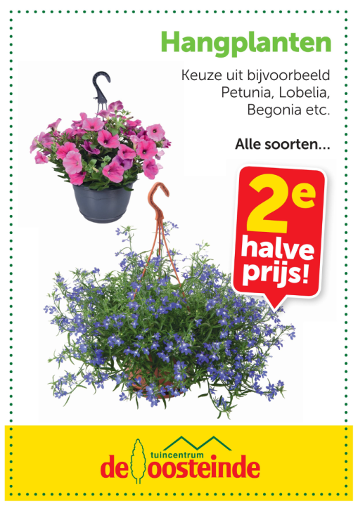 Zomerbloei | de Oosteinde