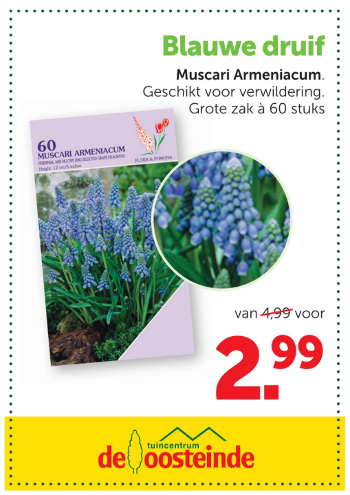 Aanbieding | De Oosteinde