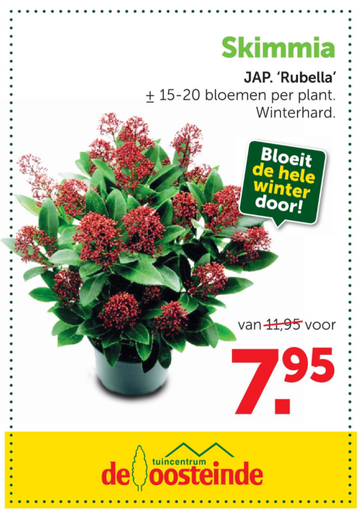 Tuinplanten | De Oosteinde