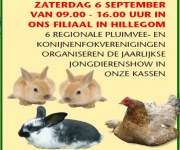 De Oosteinde Jongdierenshow