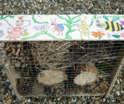 WNF, Insectenhotel en dierentuintje maken!