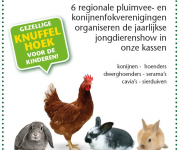 Jongdierenshow