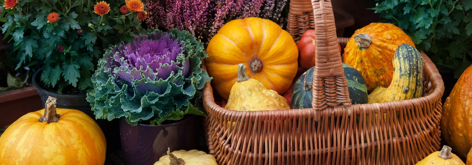 HERFSTSFEER