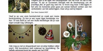KERSTACTIVITEIT MET HET WNF!