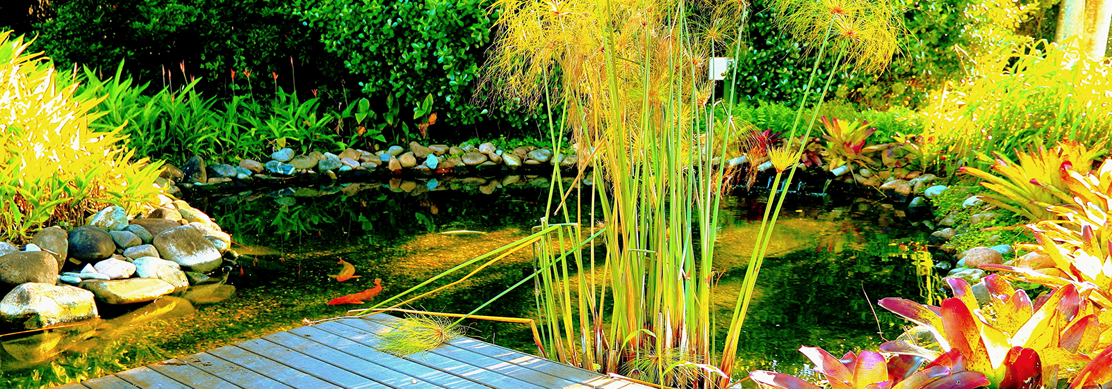 het water in uw tuin