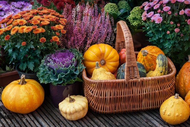 Bakken vol herfstkleur