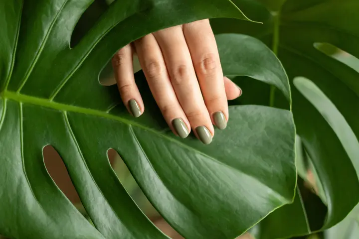 De beste tips voor een stralende Monstera