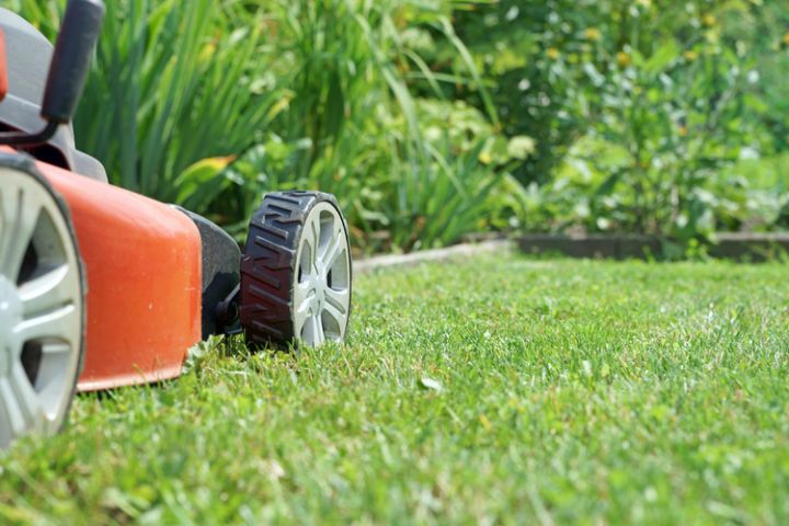 De tuin voorbereiden op de vakantie!