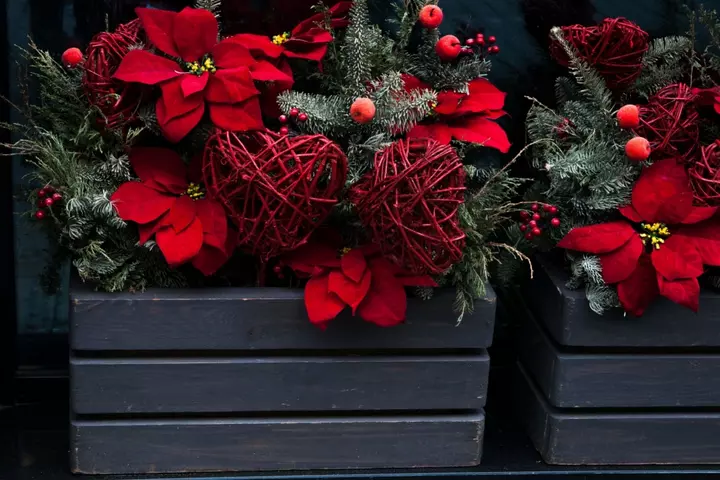 December huis- en tuintips