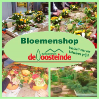 Maak kans op een GRATIS paasworkshop!