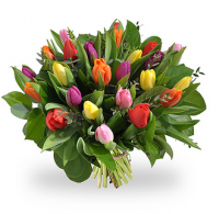 Nationale Tulpendag Zaterdag 18 Januari