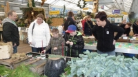 Beestachtige kerststukjes in Hillegom een groot succes!