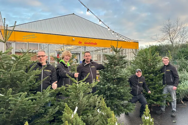 Volop kerstbomen bij de Oosteinde