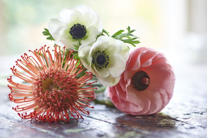 Voorjaarsbloemen in huis!