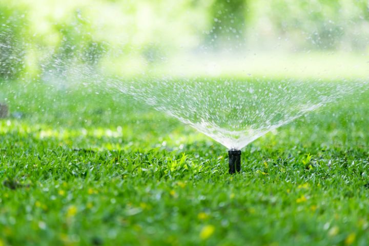 Zomer: de tuin besproeien op verschillende manieren