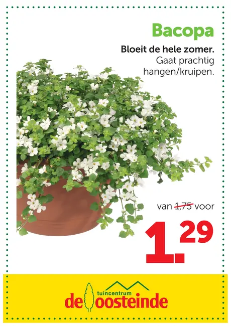 Bacopa
