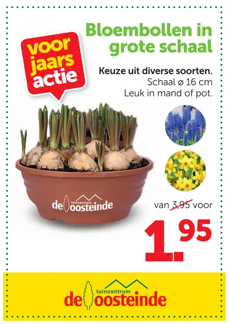 Bloembollen in grote schaal